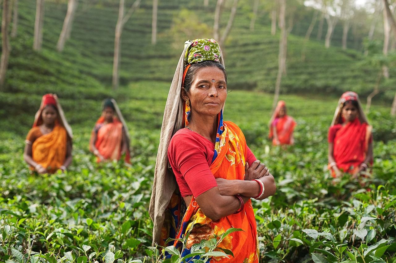 Fairtrade1