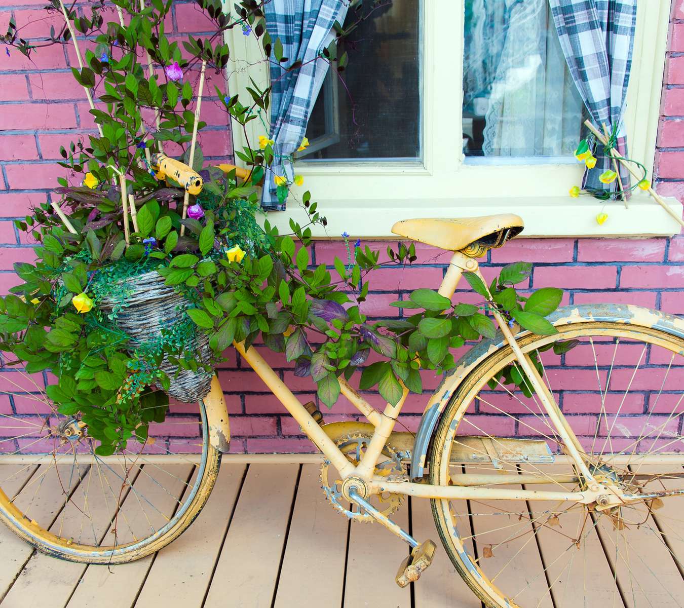 Bike1